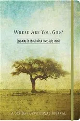 Book cover of Where Are You, God by Ellie Claire