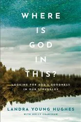 Book cover of Where Is God in This? by Landra Young Hughes