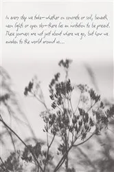 Book cover of Where the Breeze Becons by Jezey Wolf
