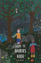 Book cover of Where The Fairies Hide by Sophie Davenport