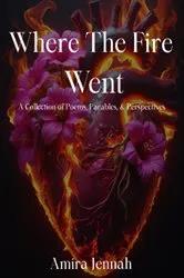 Book cover of Where The Fire Went by Amira Jennah