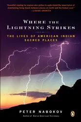 Book cover of Where the Lightning Strikes by Peter Nabokov