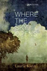 Book cover of Where the Sky Opens by Laurie Klein