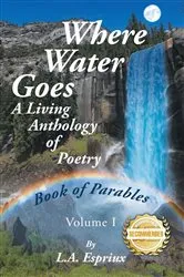 Book cover of Where Water Goes by L.A. Espriux