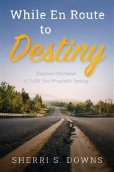 Book cover of While en Route to Destiny by Sherri S. Downs
