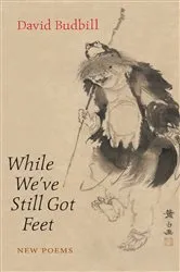Book cover of While We've Still Got Feet by David Budbill
