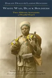 Book cover of White War, Black Soldiers by George Robb