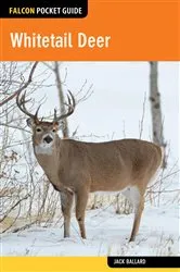 Book cover of Whitetail Deer by Jack Ballard