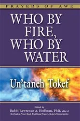 Book cover of Who By Fire, Who By Water by Hoffman, PhD, Rabbi Lawrence A.