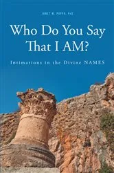 Book cover of Who Do You Say That I AM by Dave Gaffney