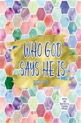 Book cover of Who God Says He Is by Stephanie Reinagel