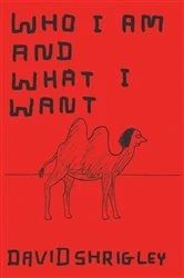 Book cover of Who I Am and What I Want by David Shrigley
