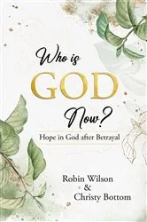Book cover of Who is God Now? by Robin Wilson