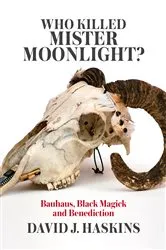 Book cover of Who Killed Mister Moonlight? by David J. Haskins