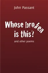 Book cover of Whose broken is this? by John Passant