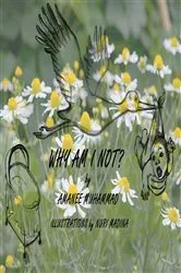 Book cover of WHY AM I NOT? by Fully Focused INC.