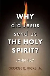 Book cover of Why Did Jesus Send Us the Holy Spirit? by George E. Hicks