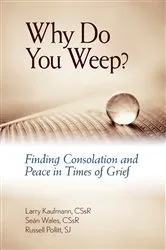 Book cover of Why Do You Weep? by Larry Kaufmann