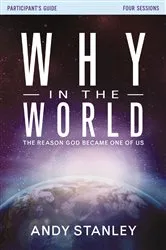 Book cover of Why in the World Bible Study Participant's Guide by Andy Stanley