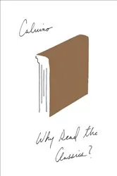 Book cover of Why Read the Classics? by Italo Calvino