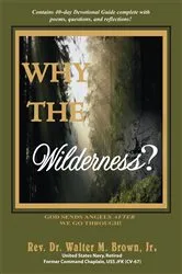 Book cover of Why the Wilderness? by Rev. Dr. Walter M. Brown Jr.