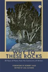 Book cover of Why to These Rocks by Lisa Alvarez