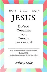 Book cover of Why? Why? Why? by Arthur J. Besler