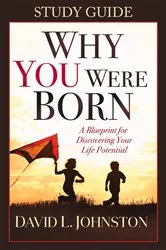 Book cover of Why You Were Born Study Guide by David Johnston