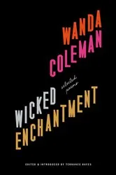 Book cover of Wicked Enchantment by Anya Bast