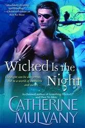 Book cover of Wicked Is the Night by Catherine Mulvany