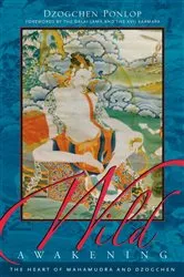 Book cover of Wild Awakening by Dzogchen Ponlop