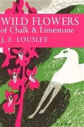 Book cover of Wild Flowers of Chalk and Limestone by Unknown