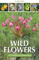Book cover of Wild Flowers of Southeast Botswana by Gwithie Kirby