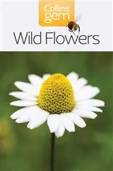 Book cover of Wild Flowers by Unknown