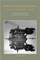 Book cover of Wild Geese Returning by Michele Metail