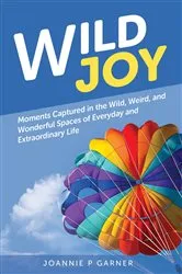 Book cover of Wild Joy by Joannie P Garner