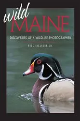 Book cover of Wild Maine by Bill Silliker