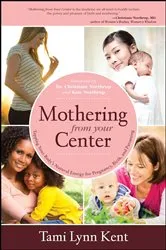 Book cover of Wild Mothering by Tami Lynn Kent