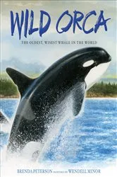 Book cover of Wild Orca by Brenda Peterson