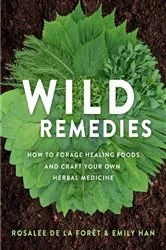 Book cover of Wild Remedies by Unknown