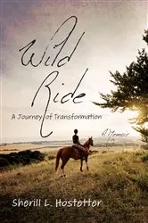 Book cover of Wild Ride by Jennifer Crusie