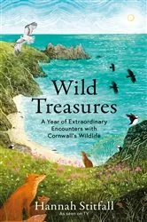 Book cover of Wild Treasures by Hannah Stitfall