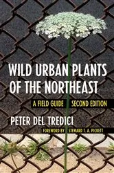 Book cover of Wild Urban Plants of the Northeast (2nd ed.) by Peter Del Tredici