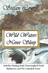 Book cover of Wild Waters Never Sleep by Stafan Lowry