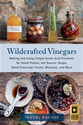 Book cover of Wildcrafted Vinegars by Pascal Baudar