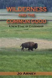 Book cover of Wilderness and the Common Good by Jo Arney