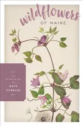 Book cover of Wildflowers of Maine by Kate Furbish