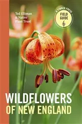 Book cover of Wildflowers of New England by Ted Elliman