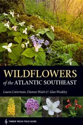 Book cover of Wildflowers of the Atlantic Southeast by Laura Cotterman