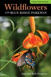Book cover of Wildflowers of the Blue Ridge Parkway by Ann Simpson